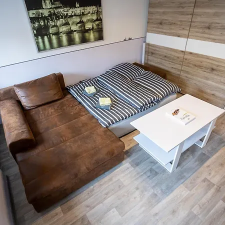 Spacious 20 Min From National Theatre Praha