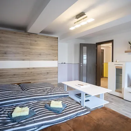 Spacious 20 Min From National Theatre Praha